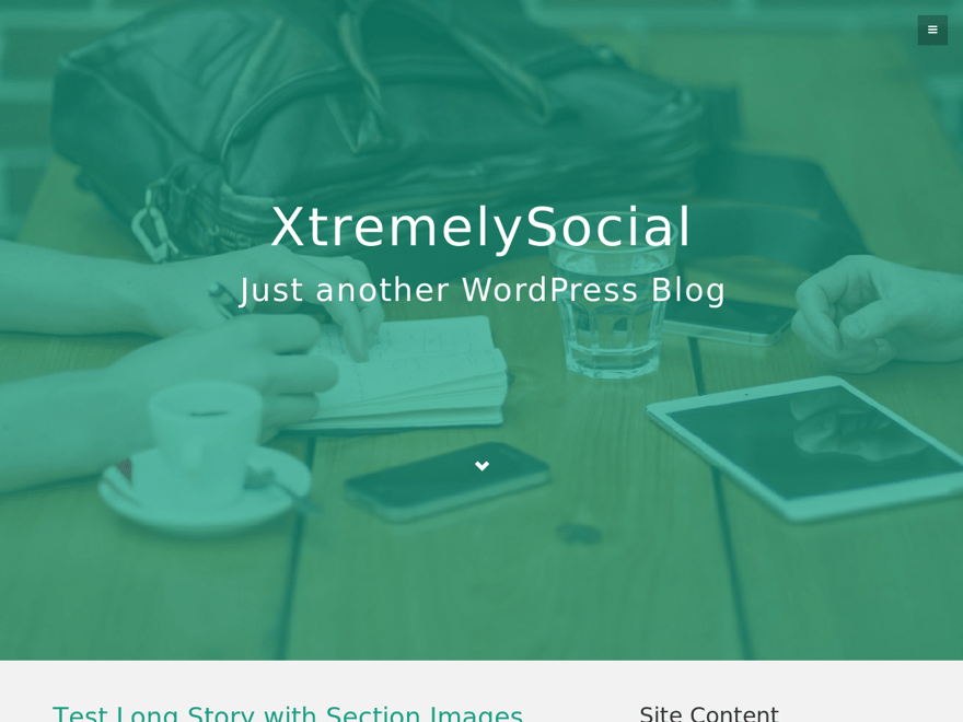 Link Theme Screenshot